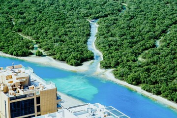 An aerial view of a vibrant blue river branching through a dense, lush green mangrove forest, highlighting the natural ecosystem.