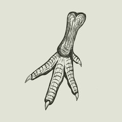 Vector illustration of a chicken foot lucky charm. Hand drawn voodoo and hoodoo witchcraft symbol. Vintage southern gothic sketch of a magic amulet or talisman. Macabre occult element isolated.