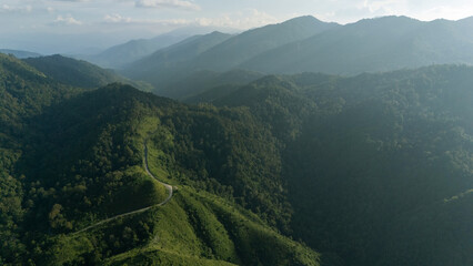 High angle view of a nature trail in a tropical Asian forest.