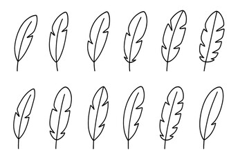 Feather icon set bundle. Simple line art collection of various bird feathers. Minimalist vector design elements for web, apps and print. Editable stroke lightweight quill graphics.