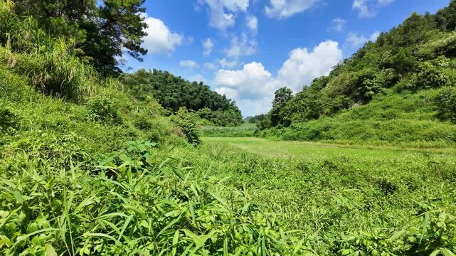 Beautiful outdoor scenery in Guangxi, China, 4K UHD video capturing mountains, rivers, forests, and tranquil landscapes, ideal for nature documentaries, travel videos, educational content, and creativ