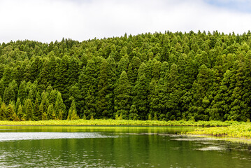 Sao Miguel Lake and Forest
