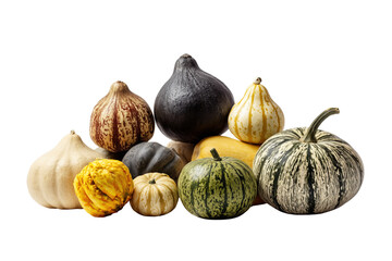 Obraz premium Assortment of Gourds and Pumpkins in Various Shapes and Colors isolated on a transparent background squash