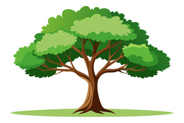 Fototapeta premium tree with green leaves