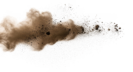 A cloud of dust and debris shot on transparent background