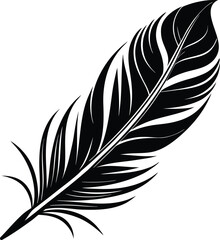 Obraz premium A detailed vector illustration set of elegant quill and bird feathers, isolated on a white background