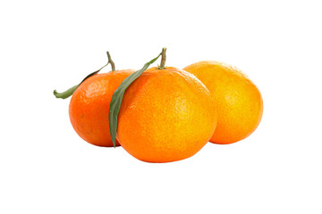Fresh Orange Citrus Fruits with Leaves Isolated on White Background