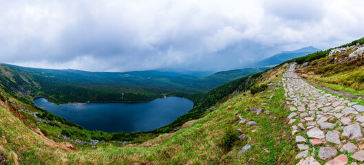 Fototapety na wymiar - Fototapeta24.pl