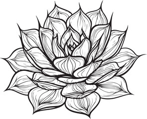 Succulent Flower Houseplant Vector Illustration, Sketch Drawing Line Linear Symbol Icon Engraving, Hand-drawn Doodle Black and White Isolated