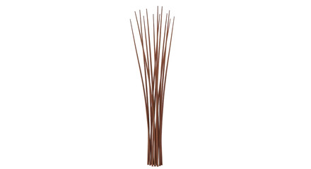 Isolated display of brown, rigid sticks for aromatherapy or home decor use, close-up view