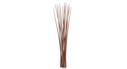 Isolated display of brown, rigid sticks for aromatherapy or home decor use, close-up view