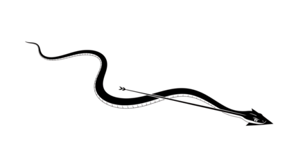 A stylized arrow, depicted as a sinuous, serpentine line, pierces through the air, conveying a sense of swiftness and precision, isolated on transparent background the arrows design is both elegant an