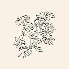 Botanical drawing. Minimal plant logo, botanical graphic sketch drawing,  meadow greenery, leaf and blooming flower abstract sketch element collection, rustic branch. Trendy tiny tattoo design, floral