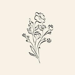 Botanical drawing. Minimal plant logo, botanical graphic sketch drawing,  meadow greenery, leaf and blooming flower abstract sketch element collection, rustic branch. Trendy tiny tattoo design, floral