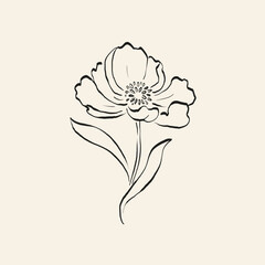 Botanical drawing. Minimal plant logo, botanical graphic sketch drawing,  meadow greenery, leaf and blooming flower abstract sketch element collection, rustic branch. Trendy tiny tattoo design, floral