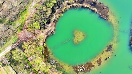 녹조가 만든 녹색의 강