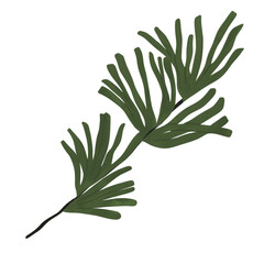Green rosemary Leaf Painting style