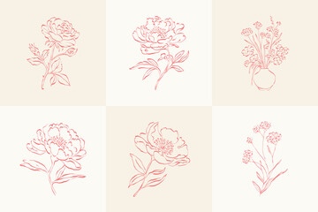Botanical, Minimal plant flower, hand drawn sketch drawing,  vector illustration