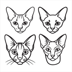 A Sleekbody and Vocal Oriental Shorthair, a Talkative Companion with a Wedgehead and Almondeyes, an Elegant and Diverse Feline