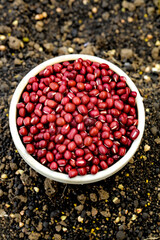 Red Adzuki Beans in White Bowl - Healthy Asian Ingredient for Cooking and Congee Recipes