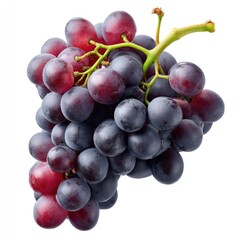 Fototapeta premium Dense syrah grapes with deep purple color for wine production and agricultural design