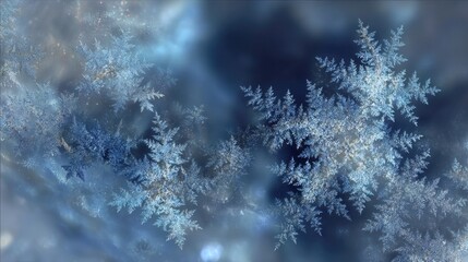 Intricate, icy blue snowflakes on a dark, blurred background, creating a dreamy, wintery scene