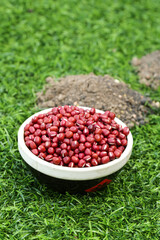 Red Beans in White Bowl on Grass - Healthy Legumes for Cooking and Congee