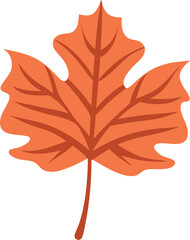 Obraz premium Close up of single autumn leaf icon