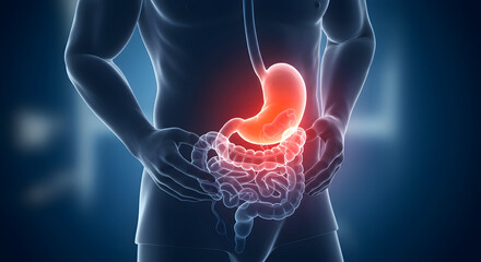Detailed Illustration of Human Digestive System Focusing on Stomach Function and Health-Related Aspects for Medical and Educational Use