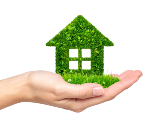 Eco Green House on Hand transparent background