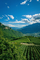 South Tyrol Italy vineyard terraces overlooking wide valley with green hills and tall mountains under bright blue sky and scattered white clouds