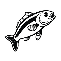 bass fish vector illustration on white background