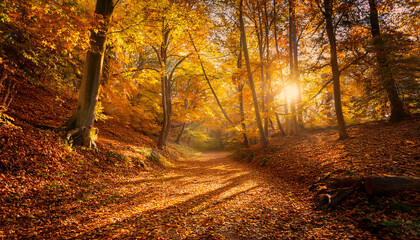 Fototapeta premium Serene Forest Path Covered In Yellow Leaves And Natural Light