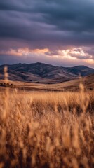 Golden Field Under Ominous Clouds at Sunset with Hills in Distance