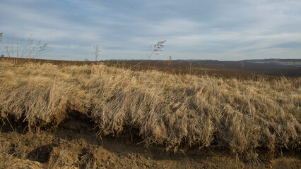 Dry grass on the slope of the erosion zone on the background of the sky and field.