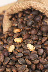 Fresh Pine Nuts in Burlap Sack - Mountain Harvest of Edible Seeds for Healthy Cooking and Gourmet Cuisine