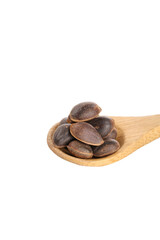 Wild Changbaishan Pine Nuts in Wooden Spoon - Mountain Forest Harvest Natural Organic Food Ingredient