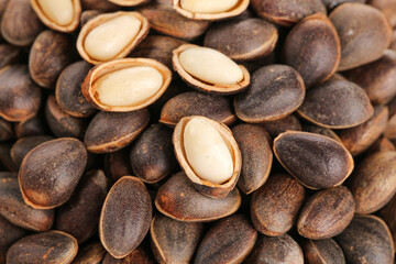 Fresh Changbai Mountain Pine Nuts Wild Harvest Deep Forest Organic Natural Food Kernels