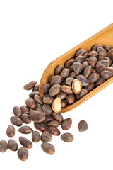 Wild Changbai Mountain Pine Nuts in Wooden Scoop - Fresh Forest Harvest Deep Woods Natural Food Ingredient