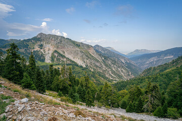 Scenic Greek mountains with rugged cliffs and dense forest stretching across wide valley with distant ridges under blue sky