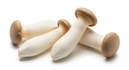 Fresh king oyster mushrooms isolated on perfect for cooking and gourmet meals