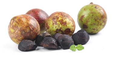 Tea Oil Seeds and Camellia Fruits - Natural Agricultural Products for Ecological Oil Production