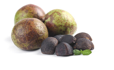 Tea Oil Seeds and Camellia Nuts for Ecological Oil Production and Rural Harvesting