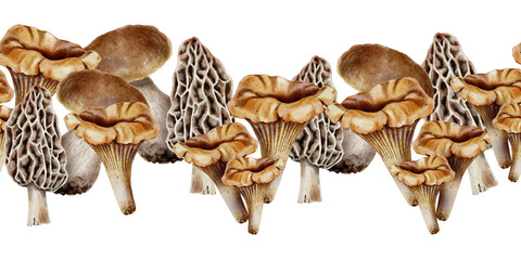 Seamless watercolor border edible forest mushrooms chanterelles morels and porcini in realistic botanical style with warm earthy tones. for food packaging kitchen textiles and autumn-themed designs.