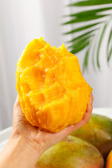 Fresh Ripe Mango Slice in Hand with Tropical Palm Leaves Background - Exotic Fruit Photography
