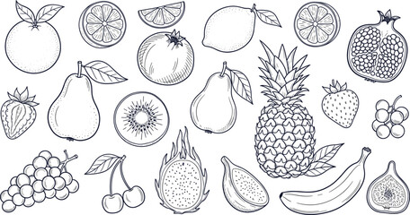 Hand drawn fruit collection, vintage engraving style fruits and berries set, vector illustration