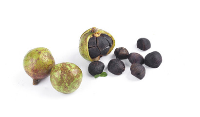 Black Walnuts with Green Hulls and Extracted Nuts on White Background