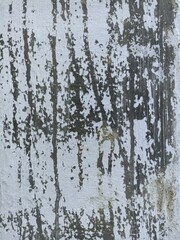 Peeling White Paint on Weathered Wall. Close-up of cracked and peeling white paint on an old textured wall, creating a rustic abstract background