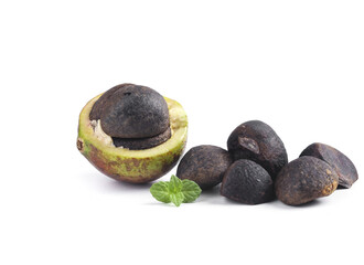 Camellia Tea Seed Pods and Seeds for Oil Production - Sustainable Agriculture and Rural Farming...