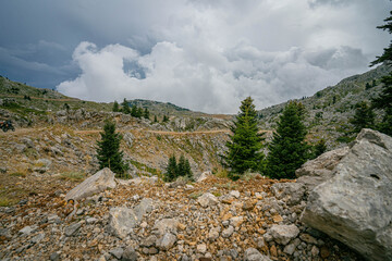 Rocky alpine landscape in Greece with scattered pine trees on mountain slope under dramatic cloudy sky creating wild highland scenery